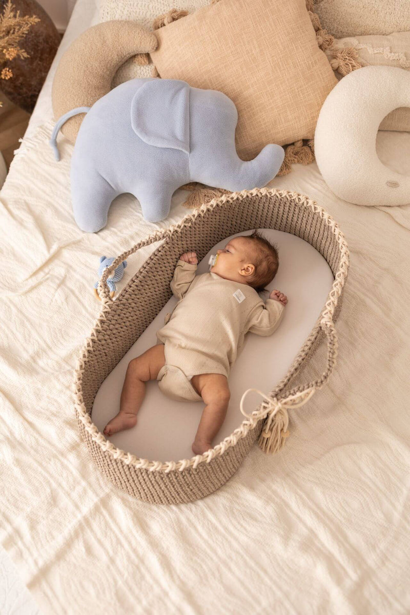 Baby in a handmade crochet Moses basket